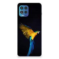 Motorola Moto G100 | TPU Hoesje | Papegaai