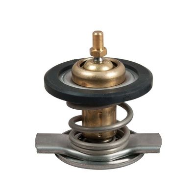 Thermostaat, koelvloeistof TH50187G1