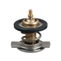 Thermostaat, koelvloeistof TH50187G1