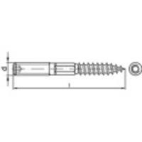 TOOLCRAFT x160 mm 50 stuk(s)