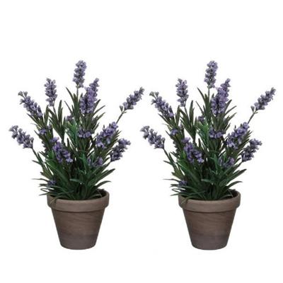 Kunstplant Lavendula/lavendel - 2x - groen/paars - D22 x H33 cm - kamerplant - kunstbloemen Kunstplant Lavendula/lavendel - 2x - groen/paars - D22 x H33 cm - kamerplant - kunstbloemen