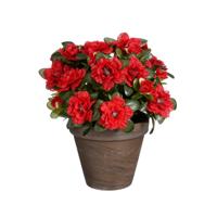 Mica Decorations Kunstplant - Azalea - Rood - in pot - 31 cm
