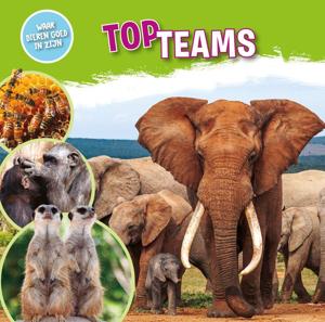 Topteams (Hardback)