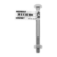 Moerbout m8x100 verz - Deltafix