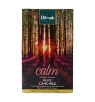 Chamomile tea herbal infusion
