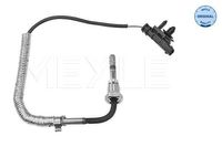 Sensor, uitlaatgastemperatuur 5148000034