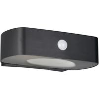 LED Tuinverlichting - Trion Lior - Wandlamp Buitenlamp - 1 Lichtpunt van 6 Watt - Natuurlijk Wit 4000K - Schemeringsensor - Bewegingssensor - Zwart - Kunststof