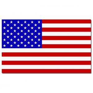 Landen thema vlaggen Stars and Stripes Amerika/USA 90 x 150 cm feestversiering