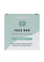 Shampoo Bars Facewash Bar Eucalyptus en Tea Tree - thumbnail