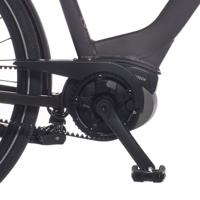 Cortina kettingscherm bosch belt jet black matt