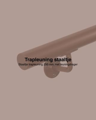 Staaltje trapleuning rond 42,2mm brons