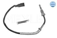 Sensor, uitlaatgastemperatuur 1148000174