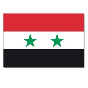 Vlag Syrie 90 x150 cm feestartikelen