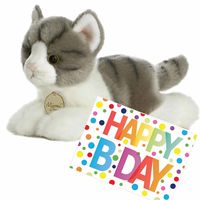 Pluche knuffel kat/poes grijs/witte 20 cm met A5-size Happy Birthday wenskaart - thumbnail