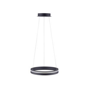 Paul Neuhaus Design hanglamp Q-Vito Ø 40cm antraciet 8410-13