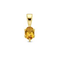 14K Geelgouden Hanger met November Geboortesteen - 13x4,5mm