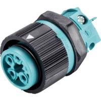 Wieland 46.051.5053.6 Ronde connector Bus, inbouw Totaal aantal polen: 4 + PE Serie (ronde connectoren): RST® MINI 1 stuk(s)