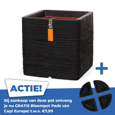 Pot vierkant rib nl l50b50h50 zwart Pot vierkant rib nl l50b50h50 zwart