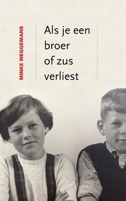 Als je een broer of zus verliest - Minke Weggemans - ebook