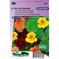 Lage enkele Oost-Indische kers bloemzaden – Oost-Indische kers Tom Thumb mix - thumbnail