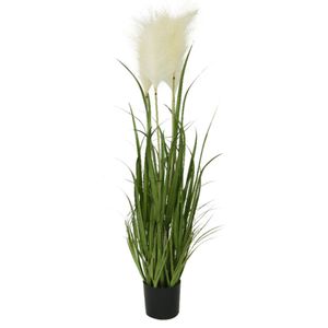 Cortaderia Pampasgras grasplanten kunstplanten in pot 100 cm