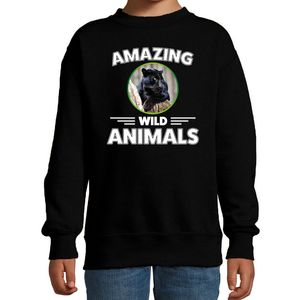 Sweater zwarte panters amazing wild animals / dieren trui zwart voor kinderen