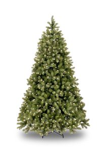 Poly Bayberry Spruce kunstkerstboom Hinged 213 cm - National Tree Company