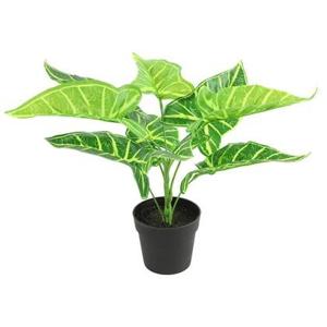 Countryfield Kunstplant Alocasia in bloempot - Groen - 15 x 32 cm