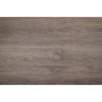 Therdex - Basic Planken 4250 (Plak PVC)