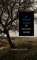 De bevroren spiegel - Jan Roeland Eleveld - ebook - thumbnail