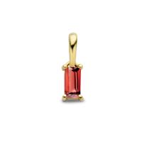 14K Geelgouden Hanger Januari Geboortesteen 9mm