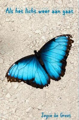 Als het licht weer aan gaat - Joyce de Groot - ebook