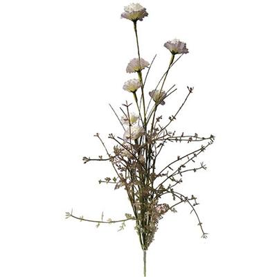 Anjer 55cm paars - Buitengewoon de boet
