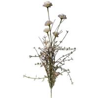 Anjer 55cm paars - Buitengewoon de boet