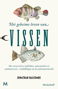 Het geheime leven van vissen (Hardback)