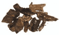 Wierookkruid Sarsaparilla