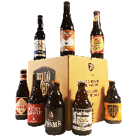 Hellobier Bierpakket Dubbel 8 of 12 bieren