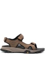 Timberland sandales en cuir à attache scratch - Marron