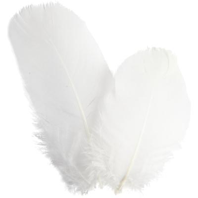 Creativ Company Ganzen veren - rond, l: 5-8 cm, ca. 70 stuk, wit, 3 gr/ 1 doos