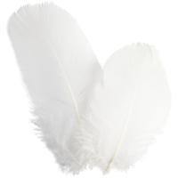 Creativ Company Ganzen veren - rond, l: 5-8 cm, ca. 70 stuk, wit, 3 gr/ 1 doos