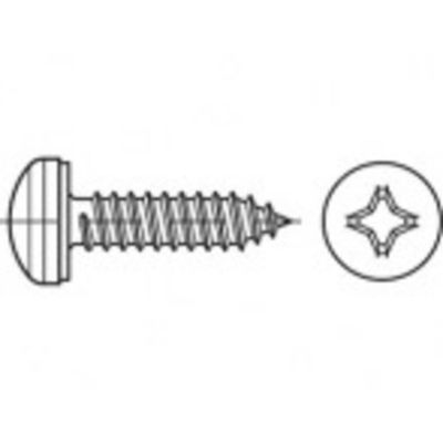 TOOLCRAFT TO-5380629 Plaatschroeven 19 mm Kruiskop Phillips 88981 RVS A2 1000 stuk(s)