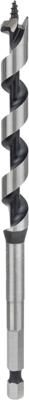 Bosch Accessoires Houtslangenboor, zeskant 11 x 100 x 160 mm, d 6,35 mm 1st - 2608585698