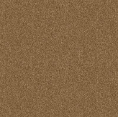 Dutch Wallcoverings Pavone - Verona Ginger