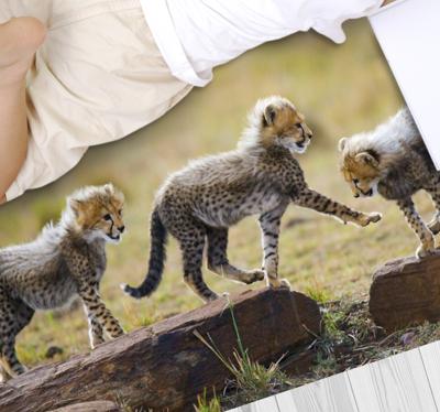 Vinyl vloerkleed dieren Dierlijke schattige cheetah welpen Vinyl vloerkleed dieren Dierlijke schattige cheetah welpen