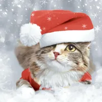 Duni 3-laags tissue servet kitten christmas 33x33cm multi 20 stuks