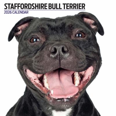 Staffordshire Bull Terrier Modern Kalender 2026