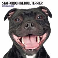 Staffordshire Bull Terrier Modern Kalender 2026