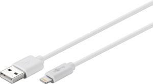 Lightning USB-kabel för laddning och synkronisering12431