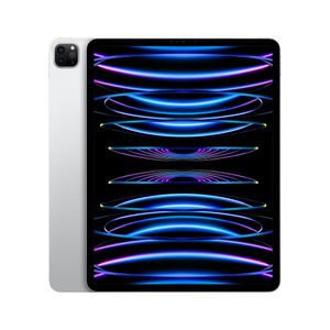 Apple iPad Pro 128 GB 32,8 cm (12.9") Apple M 8 GB Wi-Fi 6E (802.11ax) iPadOS 16 Zilver