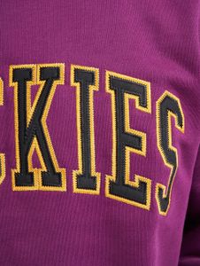 Dickies / trui Mount Sherman in paars